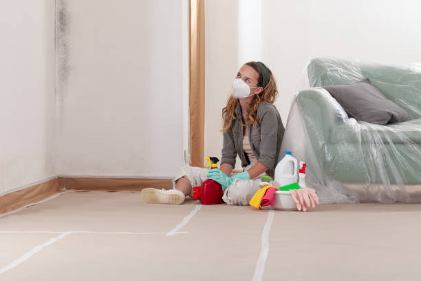 Reliable Mold Inspection contractor in Bloomington, TX by WQB Mold Removal